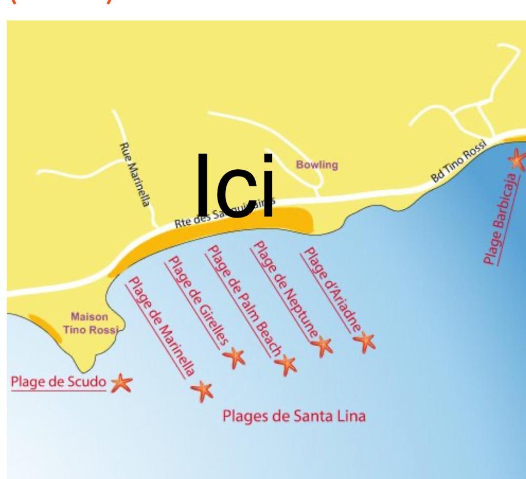 Superbe Pieds Dans L Eau Ajaccio Face A La Mer Plage De Sable Fin Route Des Iles Des Sanguinaires Buitenkant foto